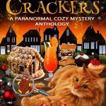 christmas-crackers-anthology